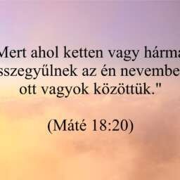 10bfa0d483f76431bbb37cbd525f8e31.jpg
